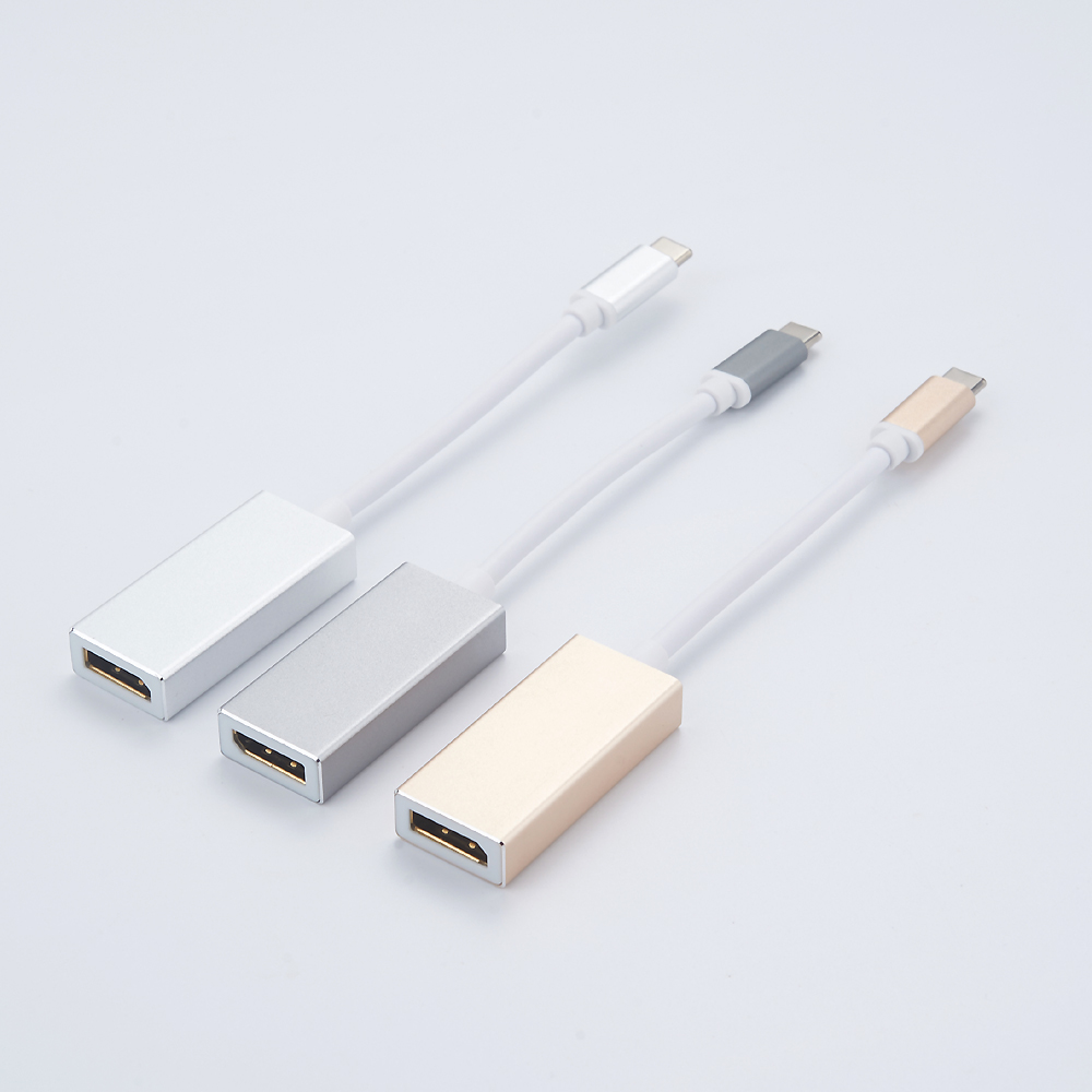 USB C to DisplayPort Adapter